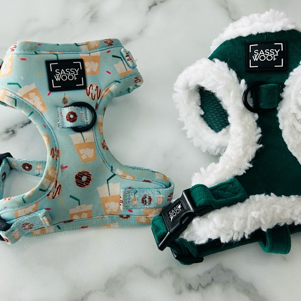 Sassy Woof Dog Harness Set